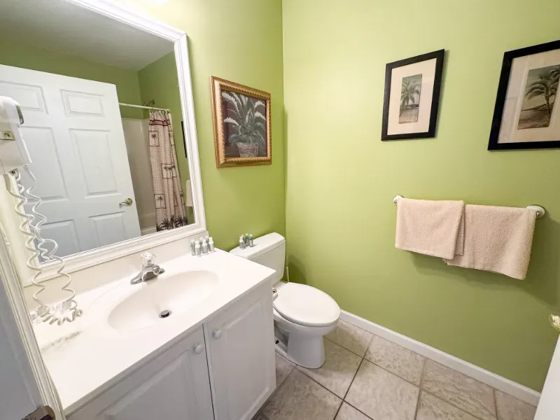 Calicéo Penthouse: bathroom green walls