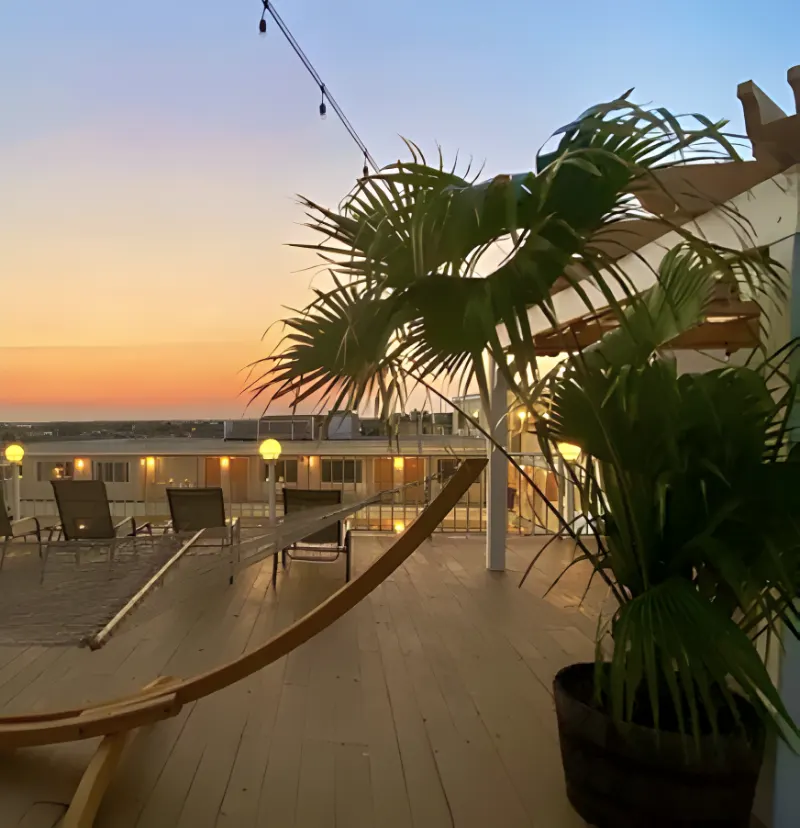 Sundeck at sunset with Palms