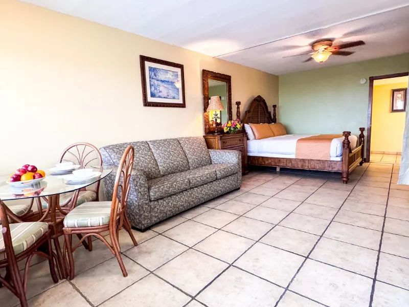 Largo sleeper sofa and dining