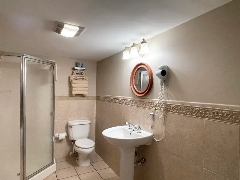 Indies bathroom shower