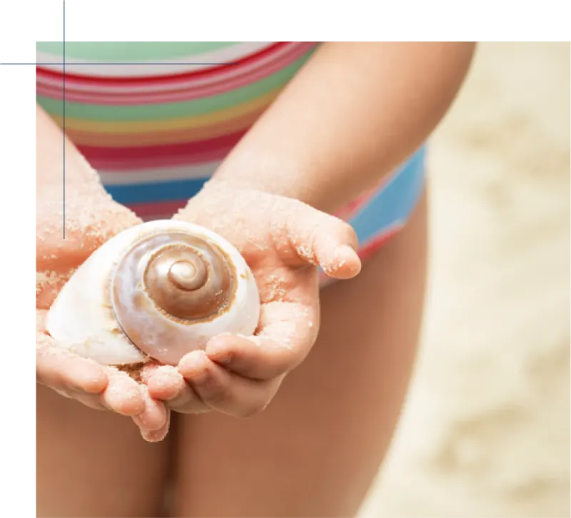 A child holding a seashell in cupped hands